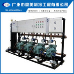 制冷壓縮機比澤爾_比澤爾_豪美制冷(查看)