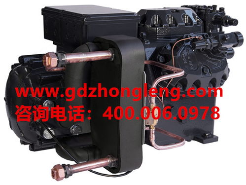 匹冷庫(kù)壓縮機(jī)報(bào)價(jià) 廠家