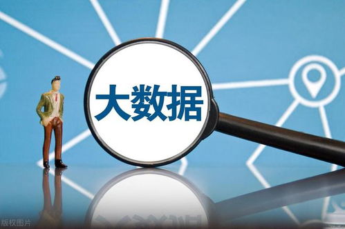 網絡安全軟件國產化 大數據時代下，八朵“金花”如何引領風潮